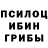 Псилоцибиновые грибы Cubensis Ra7ky